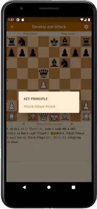 Chess Prof - Learn by Principle Screen Shot 3