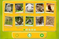 learn and play with animals Screen Shot 2