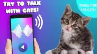 Cat Translator Voice Simulator Screen Shot 1