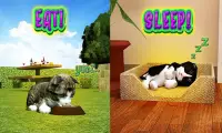 Cat Frenzy 3D Screen Shot 2