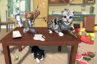 Ultimative Katzenabenteuer: Pet Life Simulator Screen Shot 7