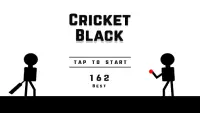 Cricket Black - Cricket Game Screen Shot 8