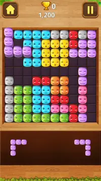 Block Puzzle Crush Screen Shot 5