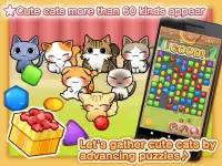 CatDays Cute Kitty Care Games Screen Shot 5