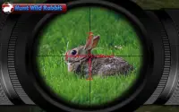 Shooter Sniper à la chasse aux animaux Screen Shot 3