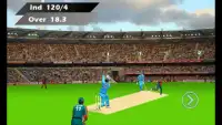 I P Lead Cricket Screen Shot 0
