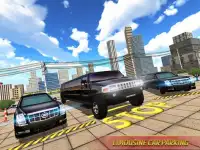 Limo Taxi Car Driving Simulator : Public Transport Screen Shot 3