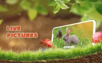Animals for kids. Learning animals Screen Shot 2