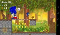 Super Sonic Jungle Run Screen Shot 2