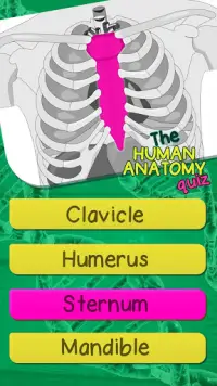 Anatomie Du Corps Humain - Anatomie Humaine Quiz Screen Shot 3