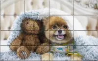 Tile Puzzle Pomeranian Dogs Screen Shot 3