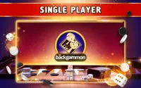 Backgammon Offline -Board Game Screen Shot 10