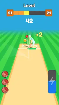 Cricket Bowling Screen Shot 0