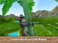 코알라 가족 시뮬레이터 - 호주 야생 동물을 시험해보십시오! Screen Shot 8