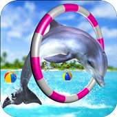 Дельфин весело игра
