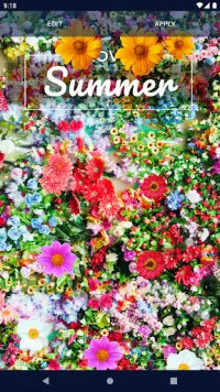 Spring Flowers Live Wallpaper Screen Shot 6
