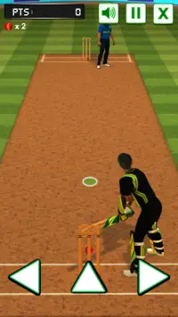 Cricket Batting Challenge Screen Shot 0