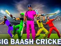 CWC 2020 ; Real Cricket Game Screen Shot 12
