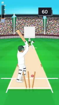 Mighty Cricket Screen Shot 3