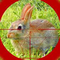 sniper săn thỏ 3d