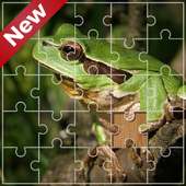 Amazing Frog Jigsaw Puzzles