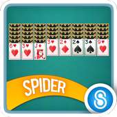 Spider Solitaire by Storm8