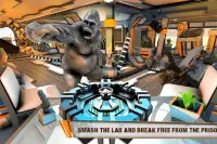 Gorilla Smash City Big Foot Monster Rampage Screen Shot 2