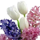 Hyacinths Jigsaw Puzzles