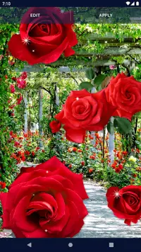 3D Red Rose Live Wallpaper Screen Shot 6