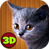 Home Kitten Simulator 3D