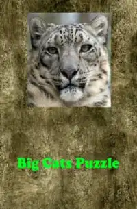Big Cats Puzzle Screen Shot 0