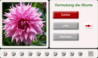 Erraten Sie den Blume: Fliesen Puzzle Screen Shot 0