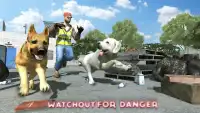 Dog Racing : Dog Games Screen Shot 4