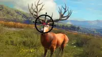 Wild Animal Hunting Game 3D Screen Shot 0