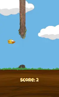 ReynaBirds – Bird Adventure Game Screen Shot 5