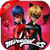 Miraculous Ladybug Cate Noire