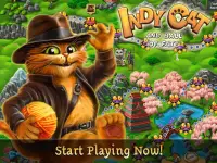 Indy Cat: Match 3 Adventure Screen Shot 17