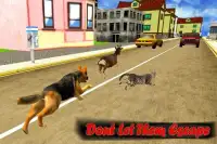 Angry Dog City Attack Sim Screen Shot 2