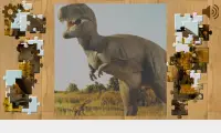 Dinossauros Puzzles Screen Shot 7