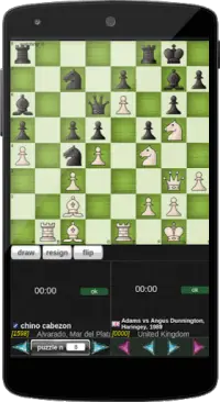 Standard Chess Screen Shot 4