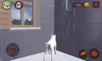 Bull Terier Dog Simulator Screen Shot 0