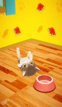 My Talking Kitten Screen Shot 15