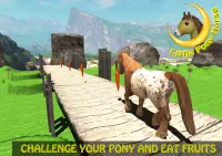 Little Pony Horse Run 2021 Screen Shot 14