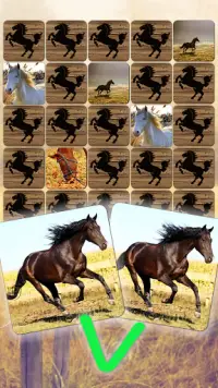 Horse Puzzles Collection Screen Shot 1