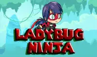 Adventure Ladybug Ninja World Screen Shot 0