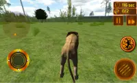Real Lion Simulator 3D Screen Shot 4