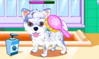 Puppy & kitty salon Screen Shot 0