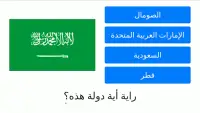 لعبة اختبار أعلام ورايات الدول العربية Arabic Flag Screen Shot 8