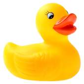 Rubber Duck for Kids