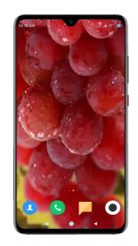 Fruit Wallpaper 4K Screen Shot 8